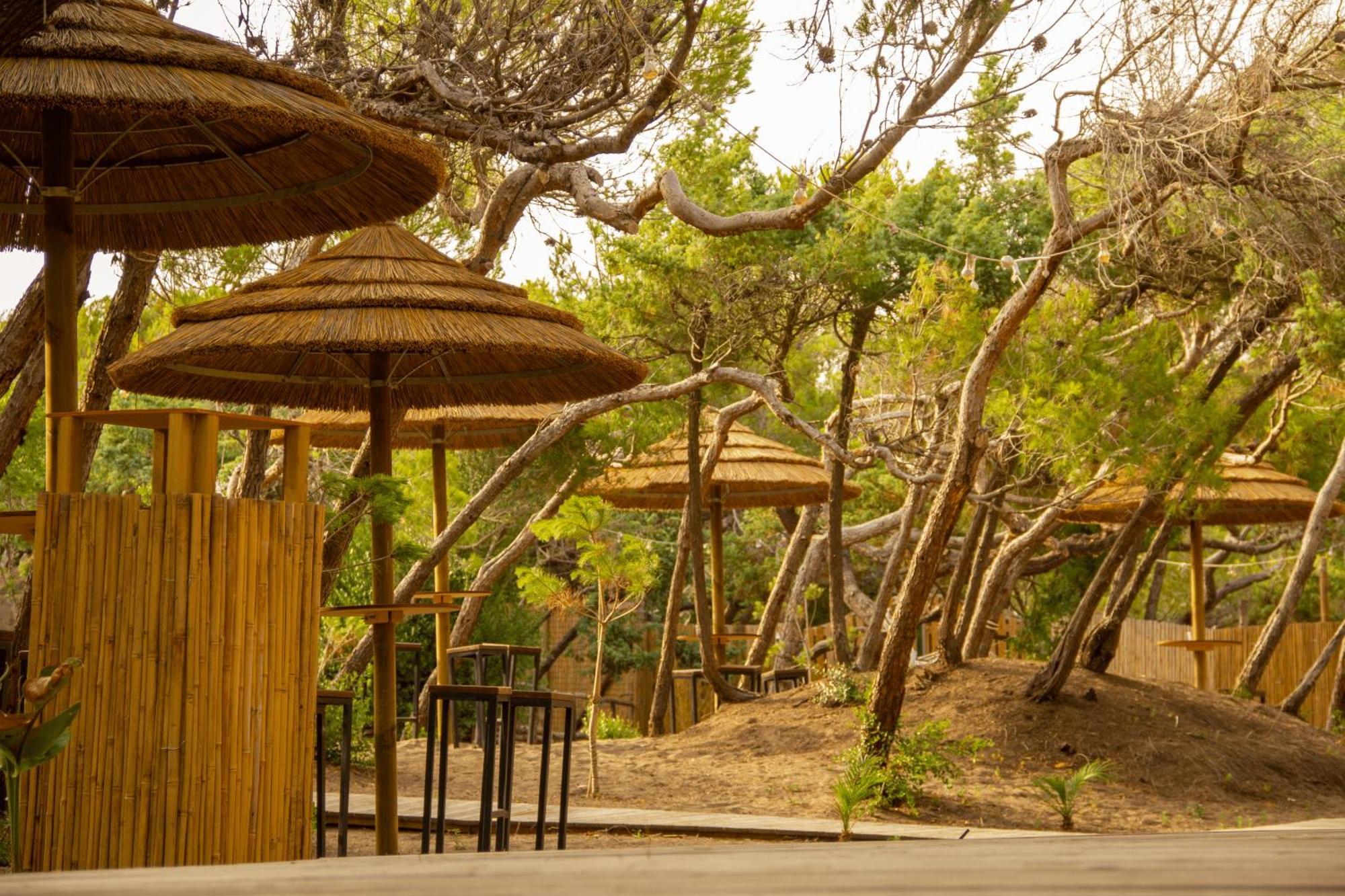 Csa Hotel Beach & Park Marina Di Bibbona Esterno foto