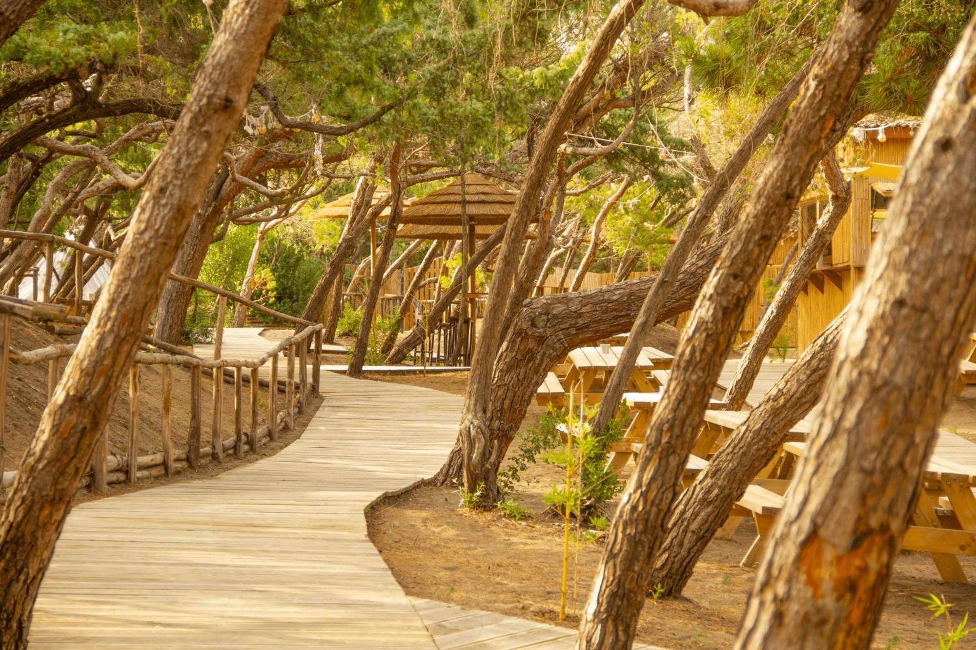 Csa Hotel Beach & Park Marina Di Bibbona Esterno foto